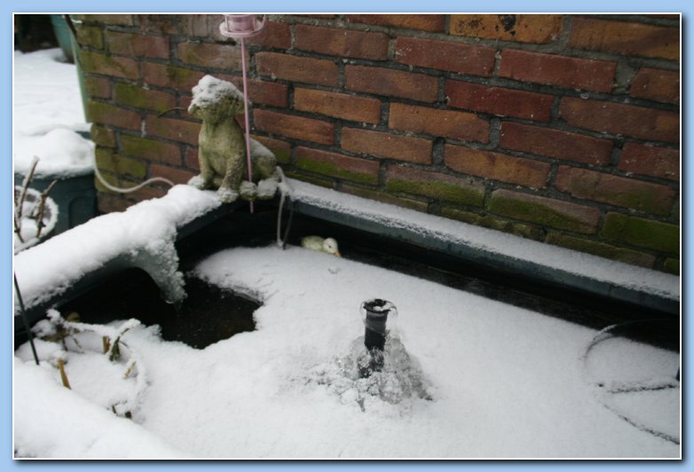 Arnhem Snow 046